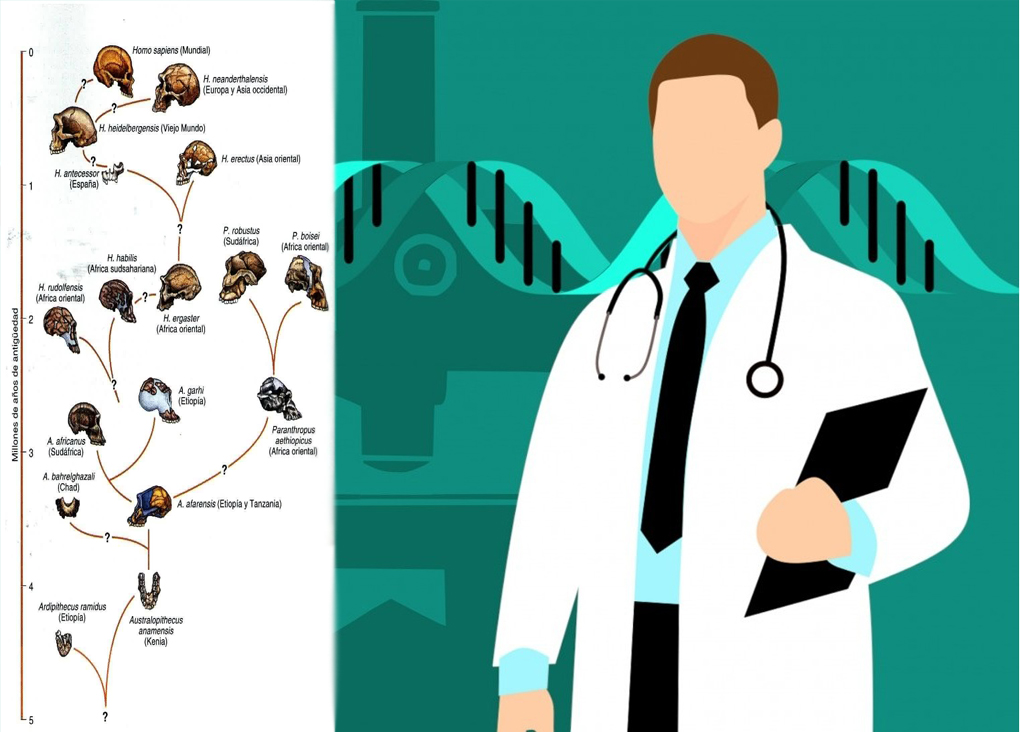 La Nueva Ciencia De La Medicina Evolutiva - Cubaperiodistas